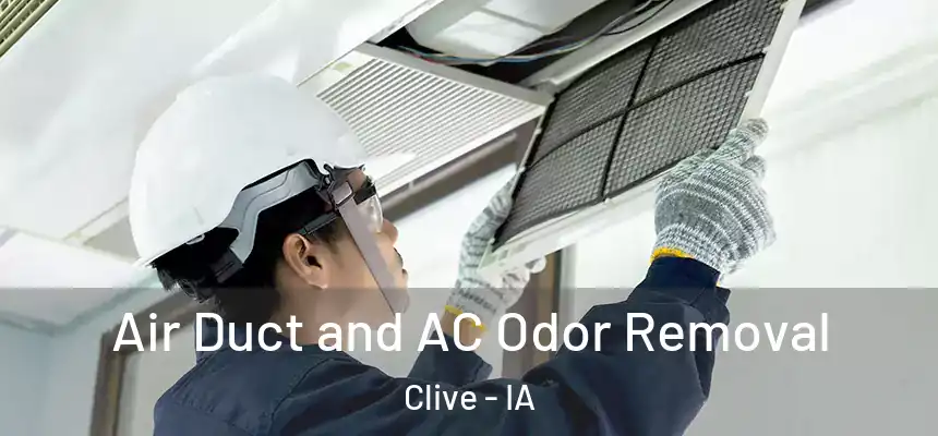  Air Duct and AC Odor Removal Clive - IA