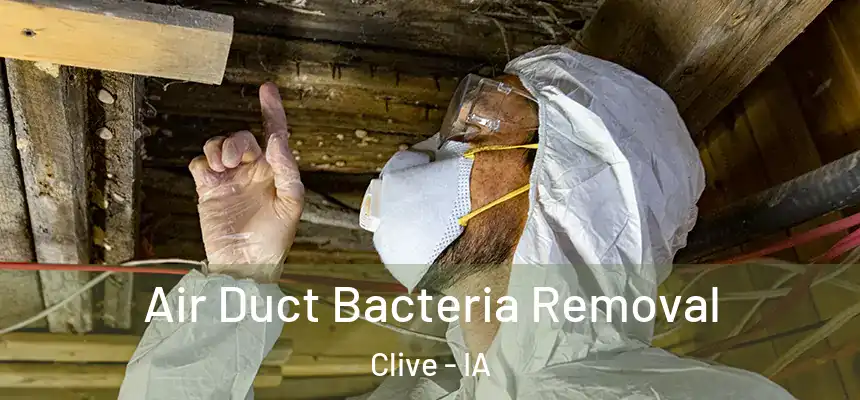  Air Duct Bacteria Removal Clive - IA