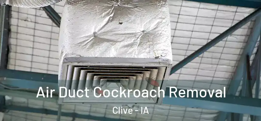  Air Duct Cockroach Removal Clive - IA