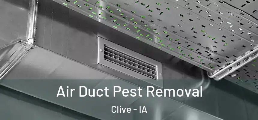Air Duct Pest Removal Clive - IA
