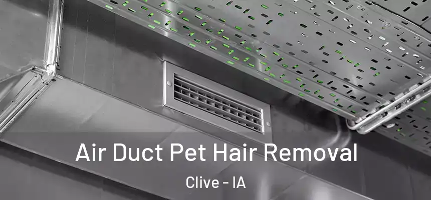 Air Duct Pet Hair Removal Clive - IA