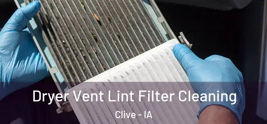  Dryer Vent Lint Filter Cleaning Clive - IA