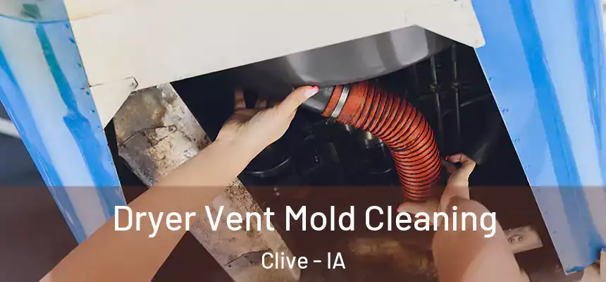 Dryer Vent Mold Cleaning Clive - IA