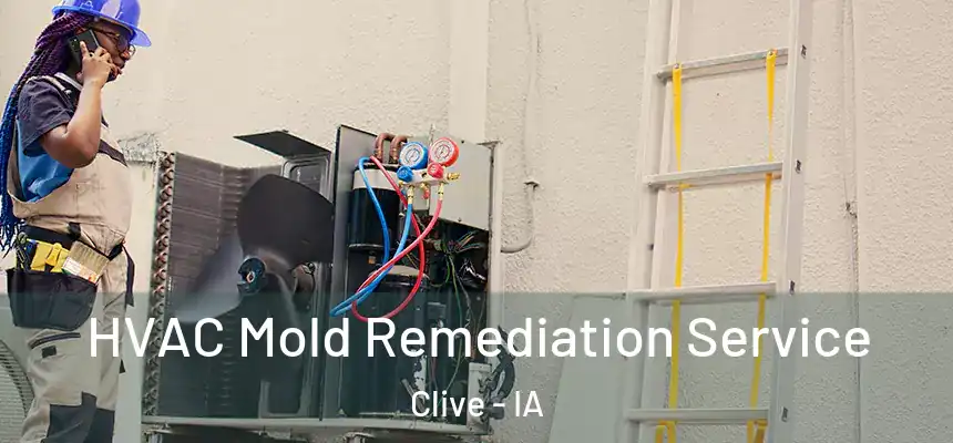  HVAC Mold Remediation Service Clive - IA