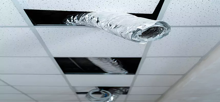 Our Air Duct Pet Hair Removal Services in Clive, IA