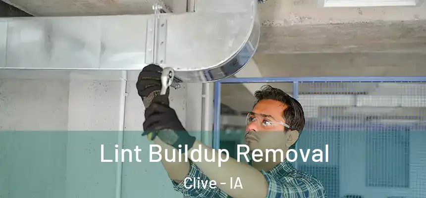 Lint Buildup Removal Clive - IA