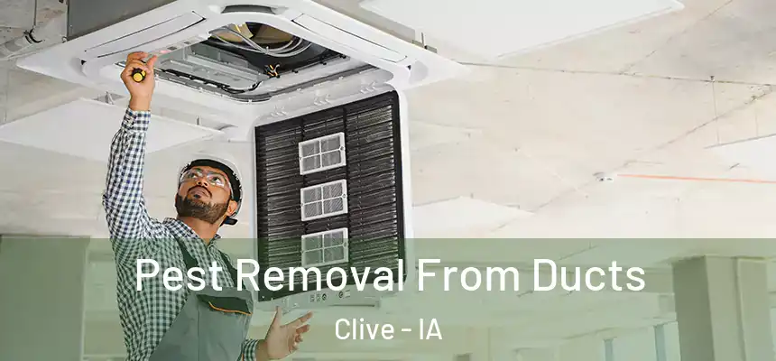 Pest Removal From Ducts Clive - IA