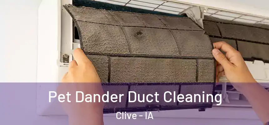 Pet Dander Duct Cleaning Clive - IA