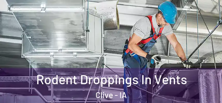 Rodent Droppings In Vents Clive - IA