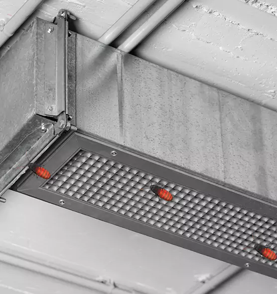 About Air Duct Cockroach Removal in Clive, IA