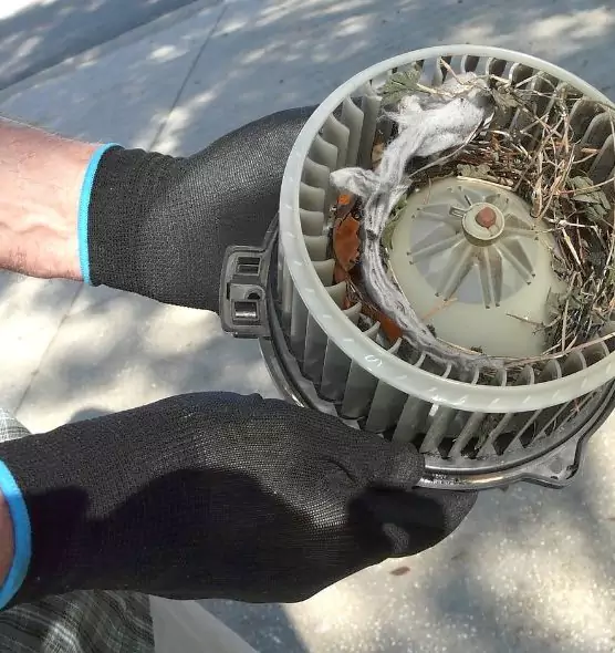 About Air Duct Mice Removal in Clive, IA