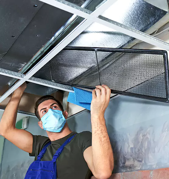 Professional Air Duct Pollen Cleaning in Clive, IA