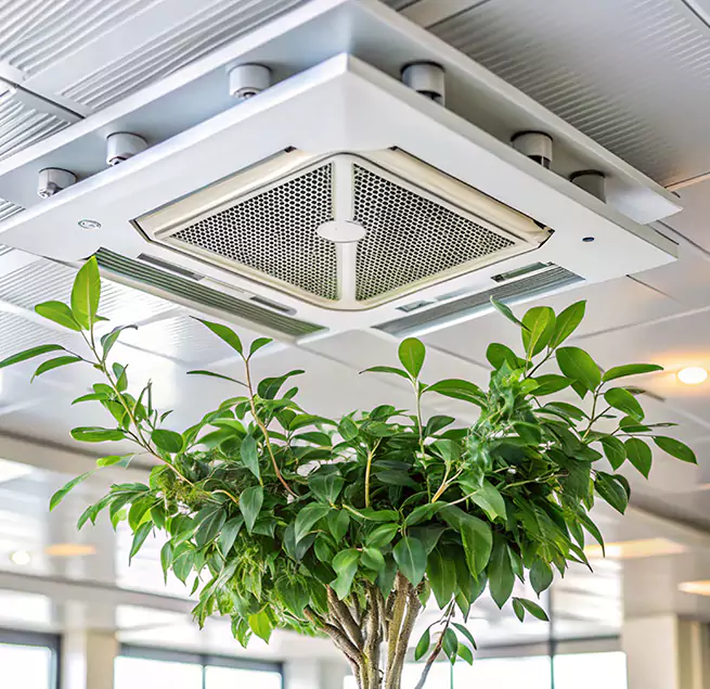 Why Homeowners & Businesses Trust Us in Clive, IA?