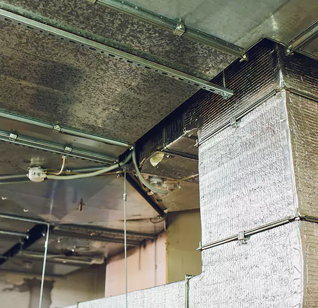 Why Homeowners & Businesses Trust Us in Clive, IA?