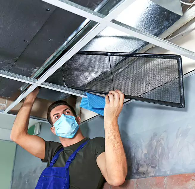 Why Homeowners Businesses Trust Us in Clive, IA